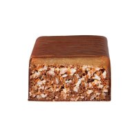 Veganer Schokoriegel "ALMOND COCO",  Sugar Free, 40 g, FIZI